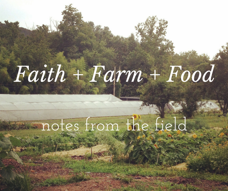 Faith & Food Highlight: Seminary Hill Farm