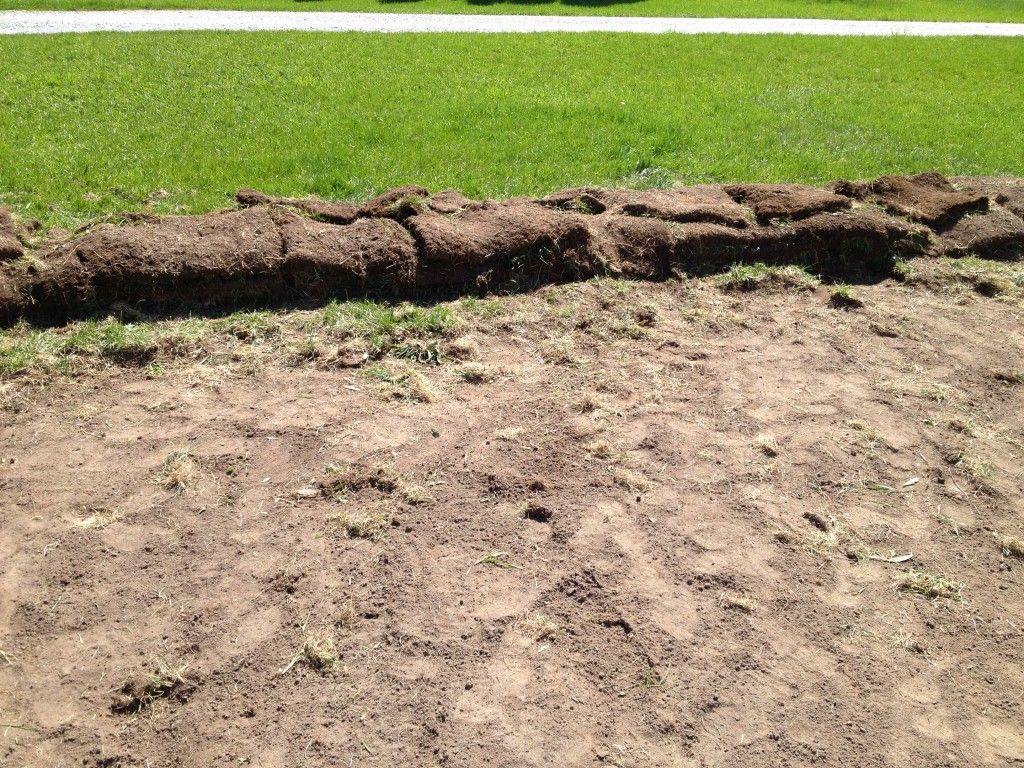 Sod removal